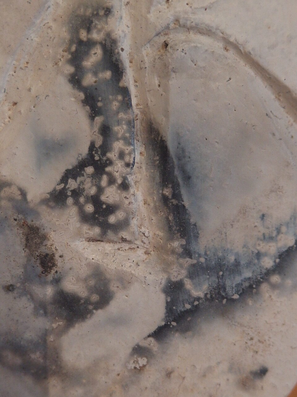 Feuille d'Eternité Feuille d'Eternité