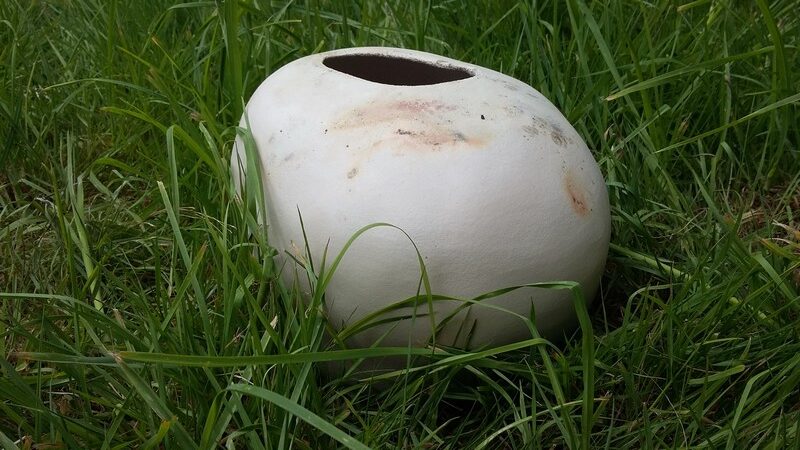 Rêverie Galactique Rêverie Galactique